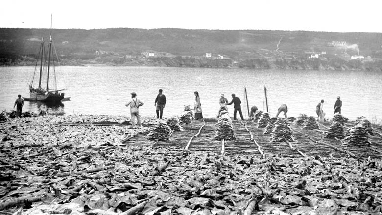 1925 Newfoundland women